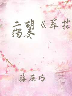 二胡《葬花吟》独奏
