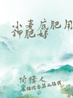 小麦底肥用什么钾肥好