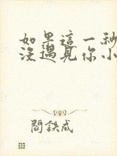 如果这一秒,我没遇见你小说看