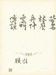 傅云舟林若若小说叫什么名字 傅云舟林若若小说叫什么名字
