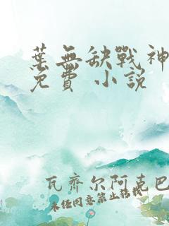 叶无缺战神狂飙免费 小说