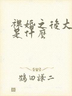 裸婚之后大结局是什么