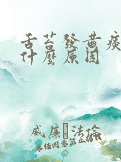 舌苔发黄痰多是什么原因