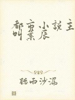 都市小说主人公叫叶辰