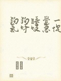 狗狗睡觉一直喘气呼吸急促