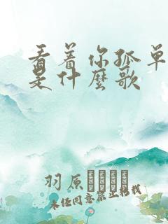 看着你孤单离去是什么歌