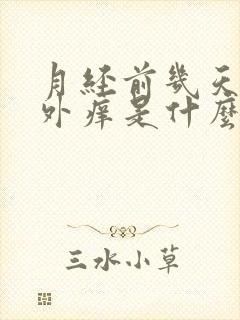 月经前几天阴道外痒是什么原因 月经前几天阴道外痒是什么原因