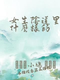 女生阴道里面是什么样的