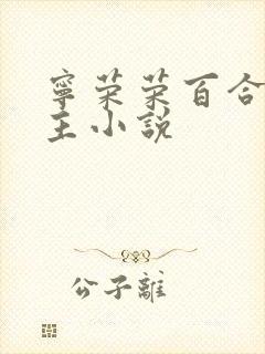 宁荣荣百合双女主小说