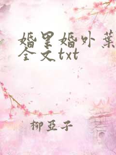 婚里婚外叶晓井全文txt
