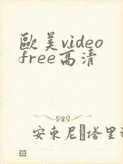 欧美videofree高清