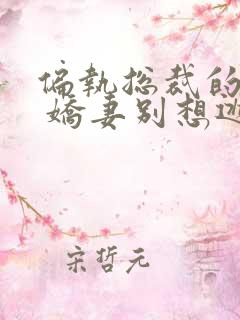 偏执总裁的囚宠 娇妻别想逃