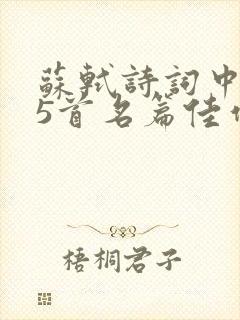苏轼诗词中的25首名篇佳作