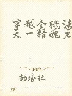 穿越全职法师一天一精魄免费