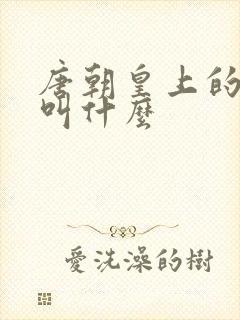 唐朝皇上的儿子叫什么