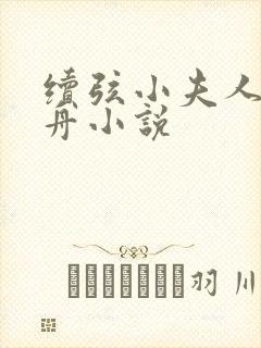 续弦小夫人江摇舟小说