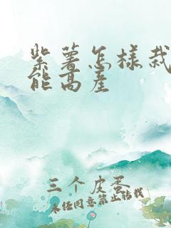 紫薯怎样栽培才能高产