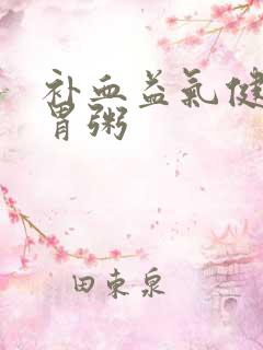 补血益气健脾养胃粥