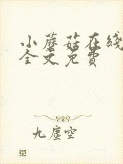 小蘑菇在线阅读全文免费
