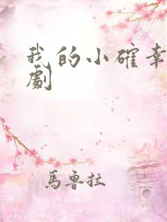 我的小确幸电视剧