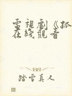 电视剧《孤战》在线观看 电视剧《孤战》在线观看