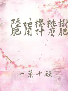 陆地樱桃树秋施肥用什么肥最好