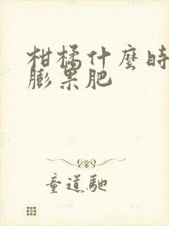柑橘什么时候施膨果肥 柑橘什么时候施膨果肥