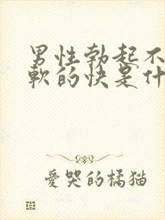 男性勃起不够硬软的快是什么原因