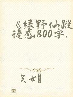 《绿野仙踪》读后感800字. 《绿野仙踪》读后感800字.