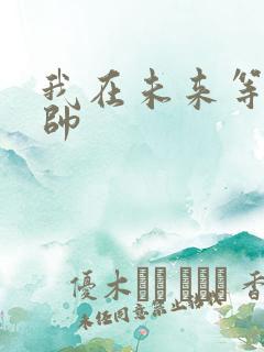 我在未来等你王帅