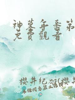 神墓年番第一季免费观看