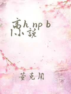 高h np bl小说