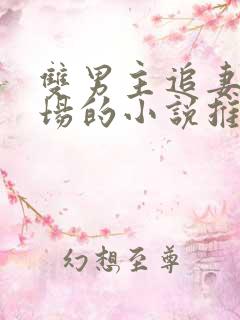 双男主追妻火葬场的小说推荐