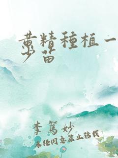 黄精种植一亩多少苗 黄精种植一亩多少苗