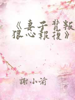 《妻子背叛,我狠心报复》小说