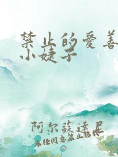 禁止的爱善良的小婕子