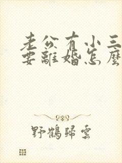 老公有小三了非要离婚怎么挽回 老公有小三了非要离婚怎么挽回