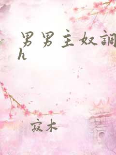 男男主奴调教文h