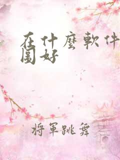 在什么软件上p图好