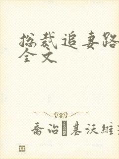 总裁追妻路漫漫全文