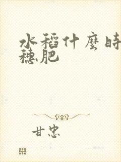 水稻什么时候撒穗肥