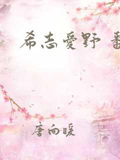希志爱野 番号