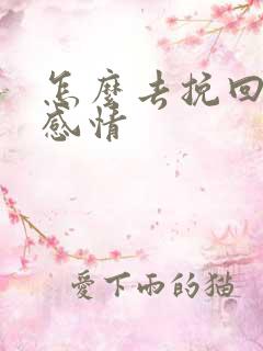 怎么去挽回一段感情