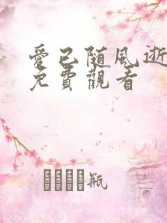 爱已随风逝短剧免费观看