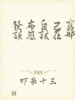 发布自己写的小说应该在哪里发布