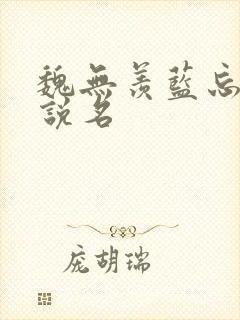 魏无羡蓝忘机小说名 魏无羡蓝忘机小说名