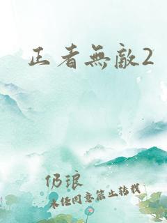 正者无敌2