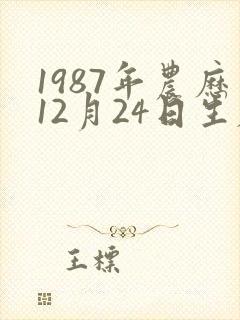 1987年农历12月24日生辰八字