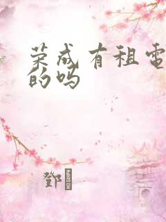 荣成有租电动车的吗