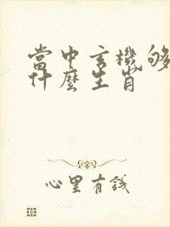 当中玄机够君猜什么生肖